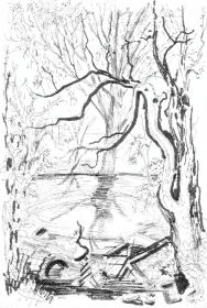 Vorfrühling am Säusee -1969-