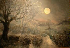 Sauen im Schilf bei Mondschein