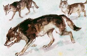 Wölfe