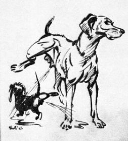 gegenseitige Stellungnahme